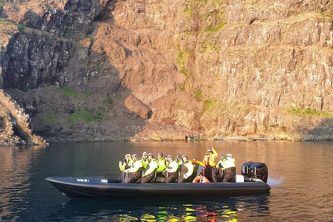 1 Hour Iceland Nature and Wildlife RIB Small Group Guided Safari - Seals, a waterfall, and the chance of whales