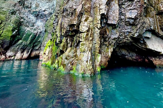 1 Hour Iceland Nature and Wildlife RIB Small Group Guided Safari - Why the small group matters