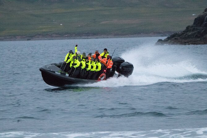 1 Hour Iceland Nature and Wildlife RIB Small Group Guided Safari - Is $160 fair for one hour?