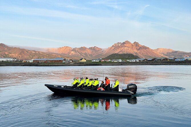 1 Hour Iceland Nature and Wildlife RIB Small Group Guided Safari - Who will enjoy this East Iceland safari?