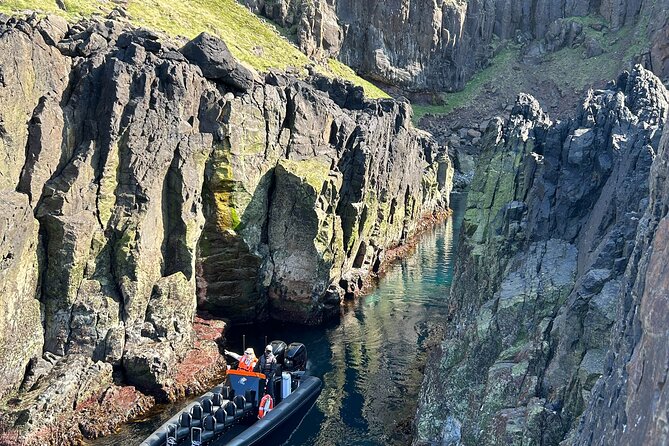 1 Hour Iceland Nature and Wildlife RIB Small Group Guided Safari - Racing toward the puffin cliffs