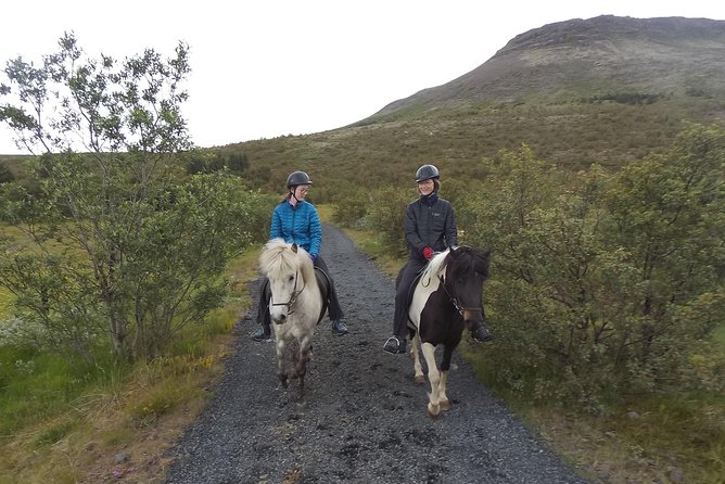 1+ hour Private Horse riding tour from Reykjavík/Mosfellsbær - Quick take: what makes this ride worth your time