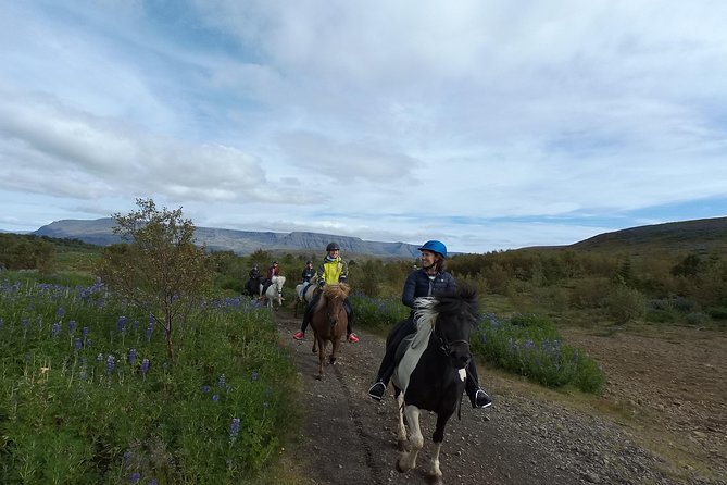 1+ hour Private Horse riding tour from Reykjavík/Mosfellsbær - From first instructions to the open trail