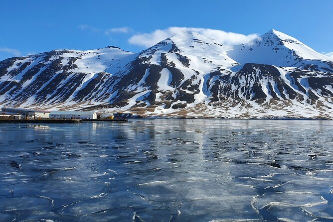 1-Hour Siglufjörður Stroll - Walking through a former herring town