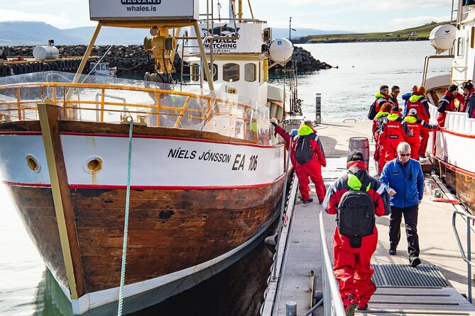 100% Whale Watching - Setting out from the fishing village of Hauganes