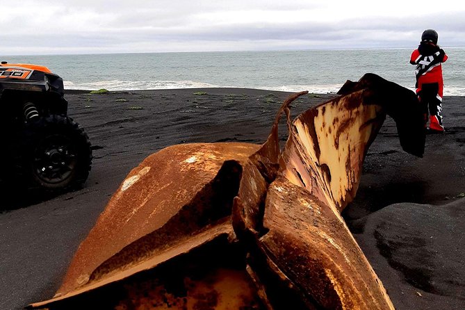 2-Hour Black Sand Beach Buggy Tour from Hella - Who should book this ride