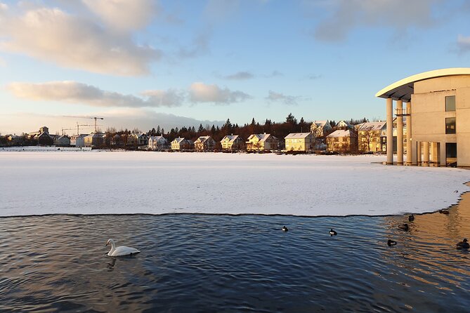 2-Hour Reykjavik Private Walking Tour - Meeting point, timing, and practical comfort