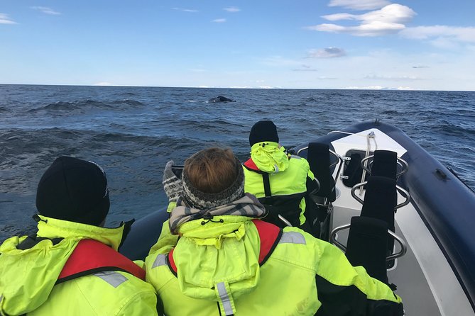 2-Hour RIB Boat Whale Watching Tour from Reykjavik - Esja and the changing view from the bay