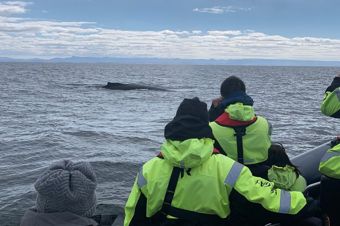 2-Hour RIB Boat Whale Watching Tour from Reykjavik - The RIB ride is part of the attraction
