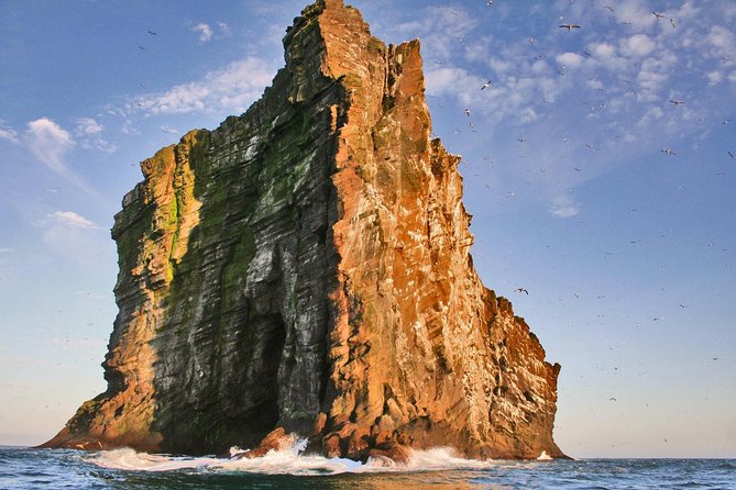 2 hour Round Trip in Vestmannaeyjar on a RIB Boat - Into the sea caves and along the cliffs