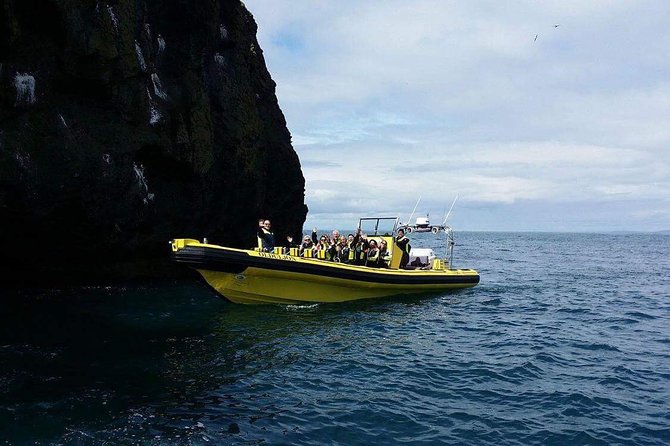 2 hour Round Trip in Vestmannaeyjar on a RIB Boat - Puffins, eiders, and the bird cliffs
