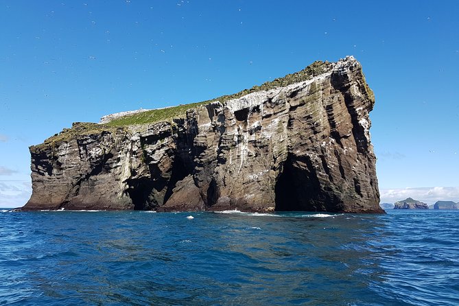 2 hour Round Trip in Vestmannaeyjar on a RIB Boat - Is $247.39 a fair price?