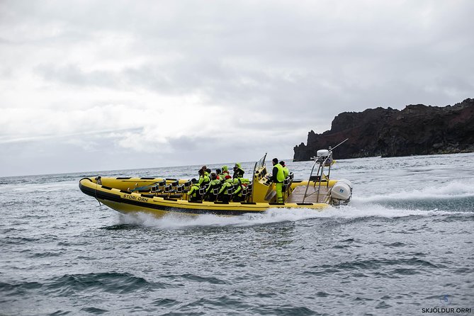 2 hour Round Trip in Vestmannaeyjar on a RIB Boat - Starting at Tangagata 7 in Vestmannaeyjabær