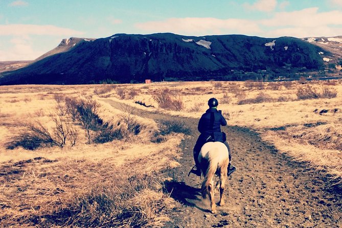 2 hours Private Horse Riding to Lake Hafravatn, Reykjavík - Mos - Key points at a glance