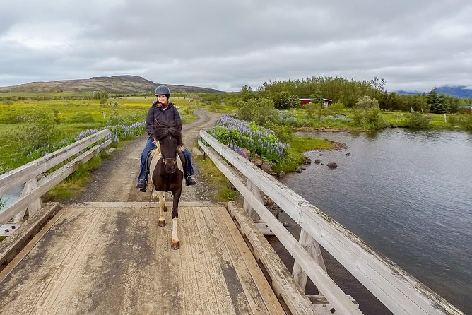 2 hours Private Horse Riding to Lake Hafravatn, Reykjavík - Mos - What makes the private format worth $210.26