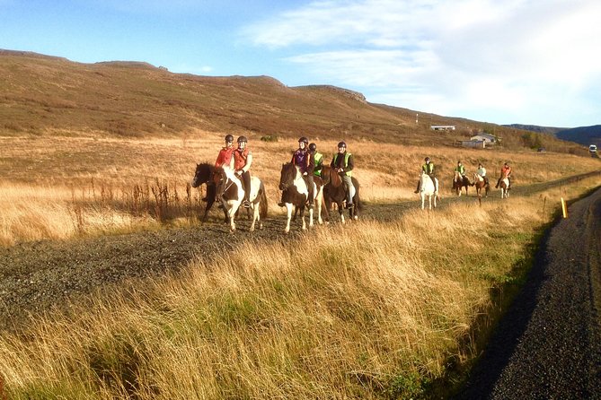 2 hours Private Horse Riding to Lake Hafravatn, Reykjavík - Mos - How demanding is the ride?