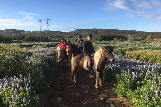 2 hours Private Horse Riding to Lake Hafravatn, Reykjavík - Mos - Arriving at Akrar 1 in Mosfellsbær