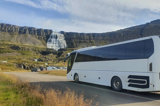 3,5-Hour Sightseeing Tour To Dynjandi Waterfall - Weather, footing, and mobility