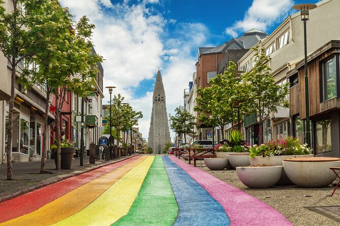 4-hour Private Reykjavik City Tour - A city tour built around your priorities