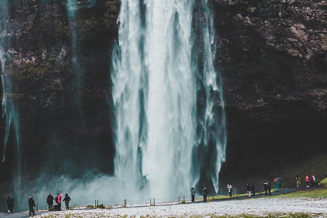 6-Day Minibus Tour Around Iceland from Reykjavik - Day 4: East Fjords, Lagarfljót, and optional horses