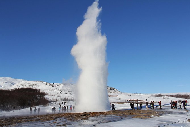 8-Day Small Group Tour Around Iceland from Reykjavik - Day 4: East Fjords, horses, and Vök Baths