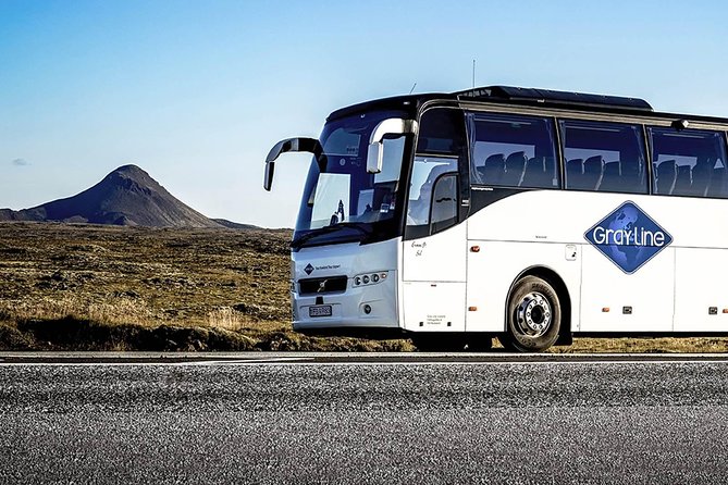 Airport Express Shared Arrival Transfer from Keflavik Airport to Reykjavik Hotels - Staff Help and Communication at the Airport