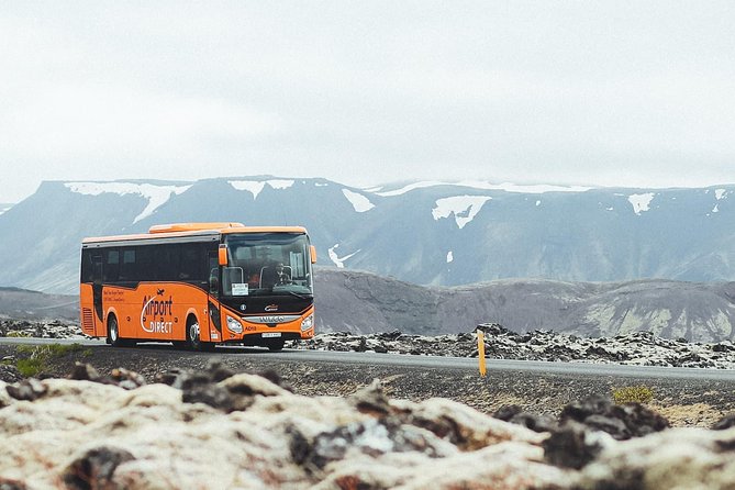 Airport Transfer in Iceland from Keflavik Airport to Reykjavik City one way - Arriving at Reykjavik Terminal on Skogarhlid