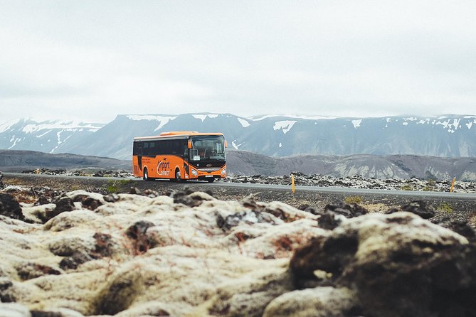 Airport Transfer in Iceland from Keflavik Airport to Reykjavik City With Hotel Drop Off - The first ride to Reykjavik Terminal