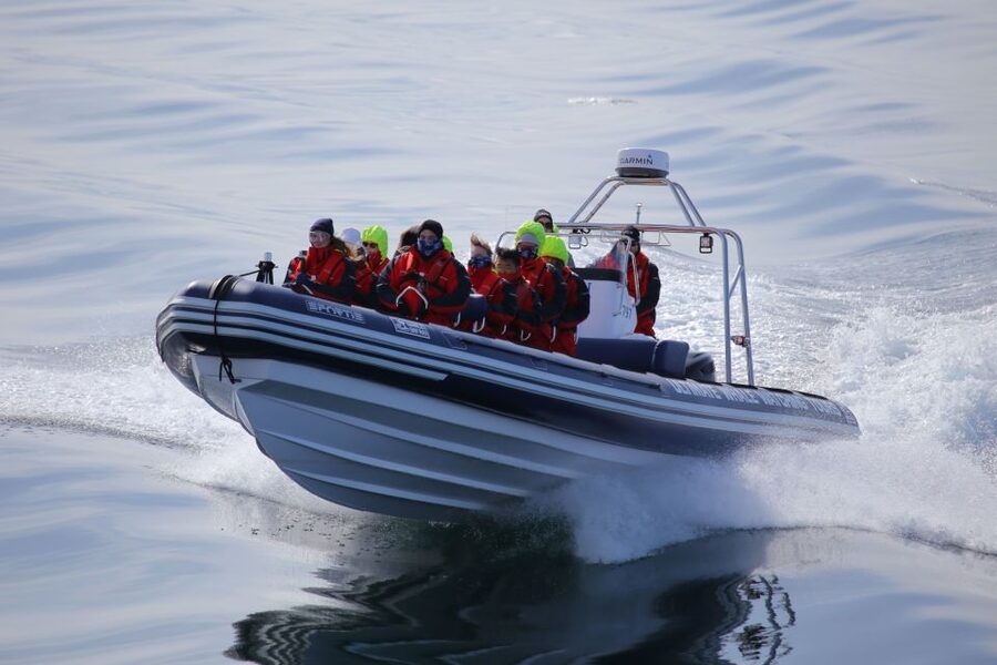 Akureyri: 2-Hour Whale Watching Express by RIB Speedboat - More Than Whales: Dolphins, Porpoises, and Seabirds