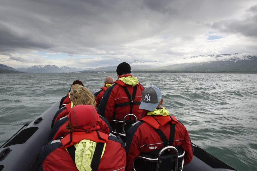 Akureyri: 2-Hour Whale Watching Express by RIB Speedboat - Is Two Hours Long Enough?