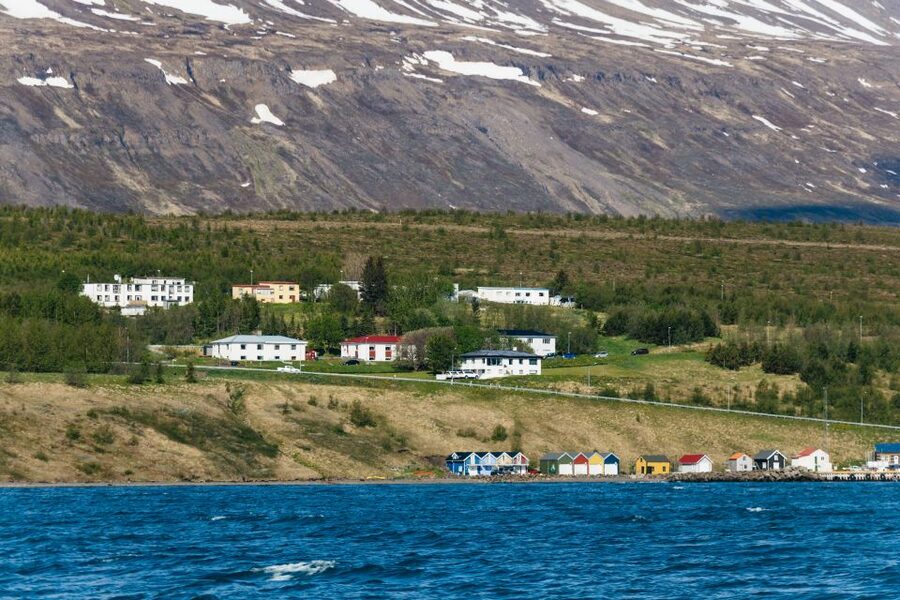 Akureyri: 3-Hour Classic Whale Watching Tour by Ship - Who should book this cruise?