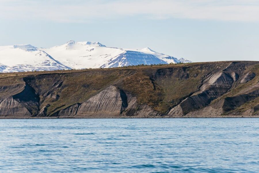 Akureyri: 3-Hour Classic Whale Watching Tour by Ship - A respectful distance from the animals