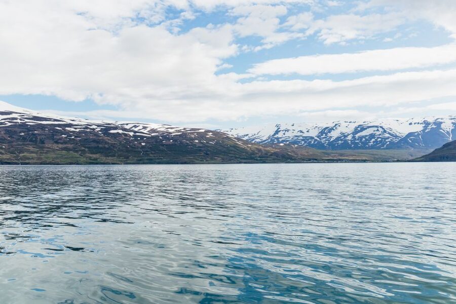 Akureyri: 3-Hour Classic Whale Watching Tour by Ship - What the guide adds to the experience