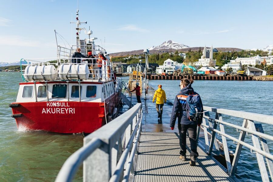 Akureyri: 3-Hour Classic Whale Watching Tour by Ship - Is $108 good value?