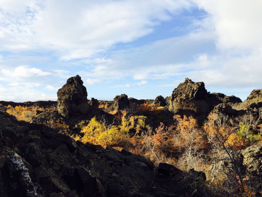 Akureyri Port: Lake Mývatn & Goðafoss Waterfall Day Trip - Lunch, costs, and the real value