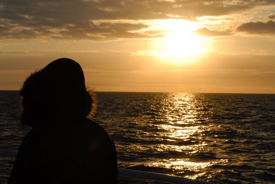 Akureyri: Whale Watching in the Midnight Sun - A Guide Who Makes You Part of the Search