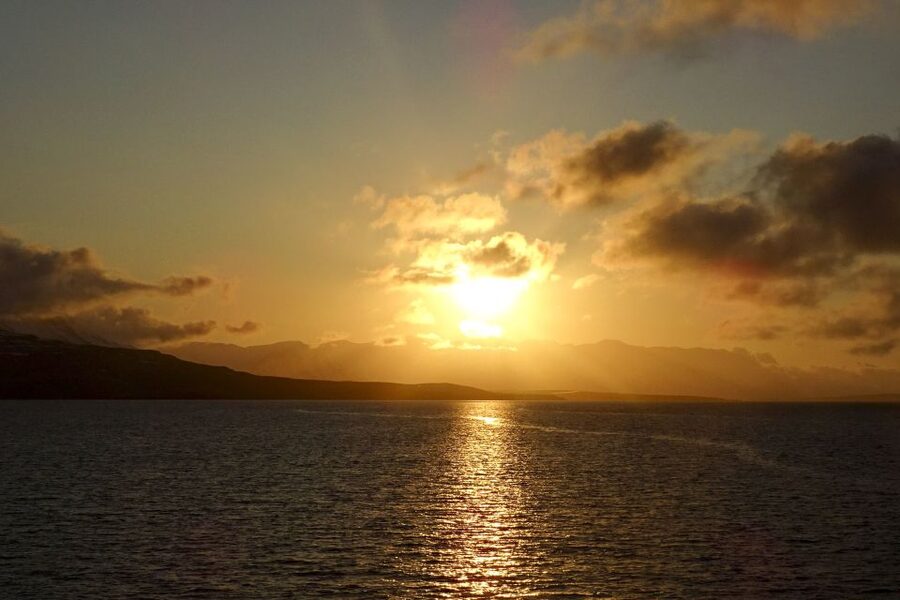 Akureyri: Whale Watching in the Midnight Sun - Price, Time, and Overall Value
