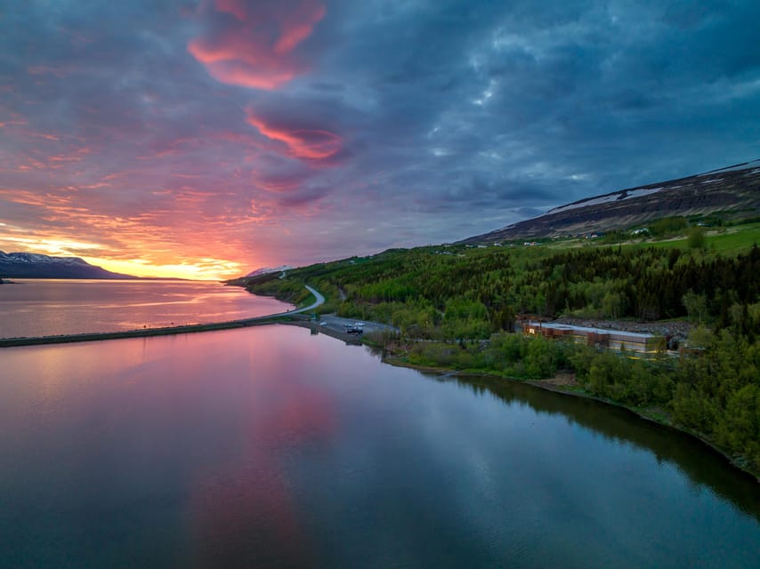Akureyri: Whale Watching Tour & Forest Lagoon Entrance - Forest Lagoon among birch and pine