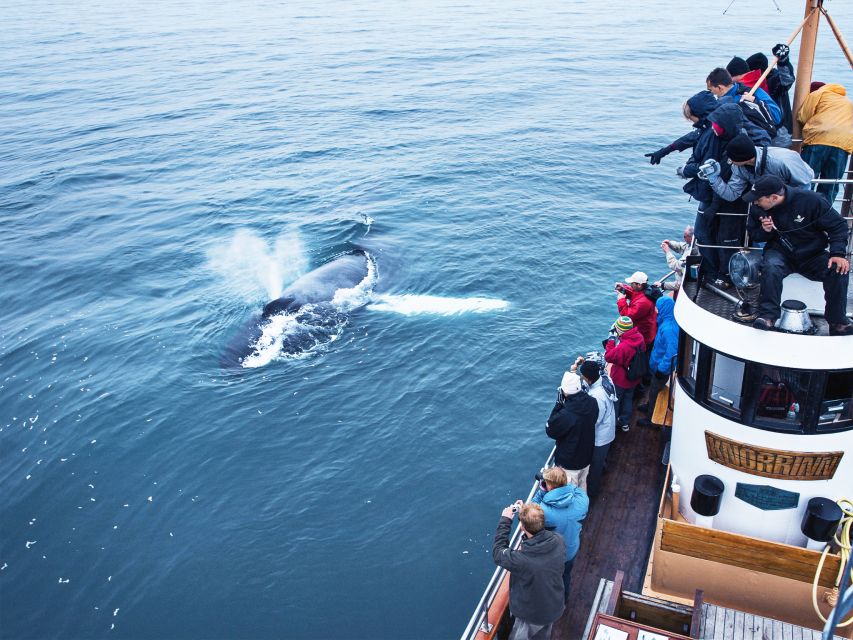 Árskógssandur: Whale-Watching Boat Trip - Staying warm on an Icelandic boat