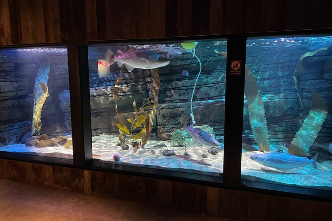 Beluga and Puffin Sanctuary Visitor Centre with Aquarium - FAQ
