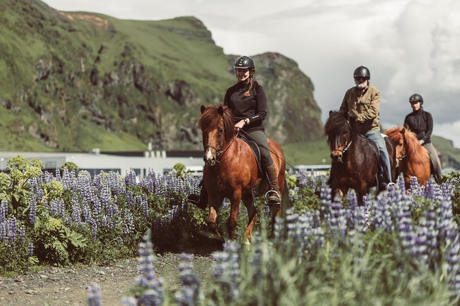 Black Sand Beach Horse Riding Tour from Vik - Key points before you book