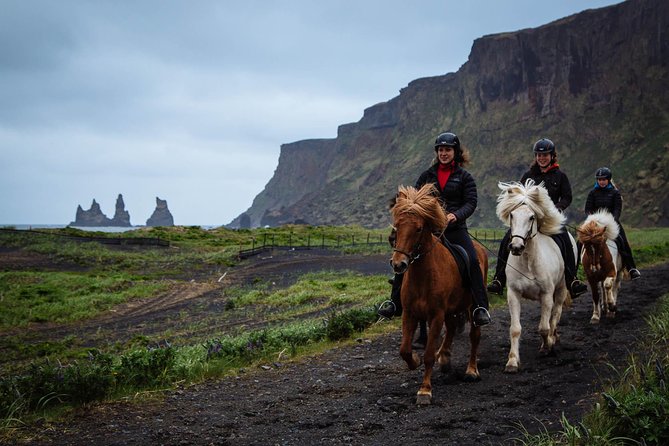 Black Sand Beach Horse Riding Tour from Vik - Why the Icelandic horses make this good for beginners