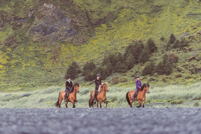 Black Sand Beach Horse Riding Tour from Vik - Weather can change the plan