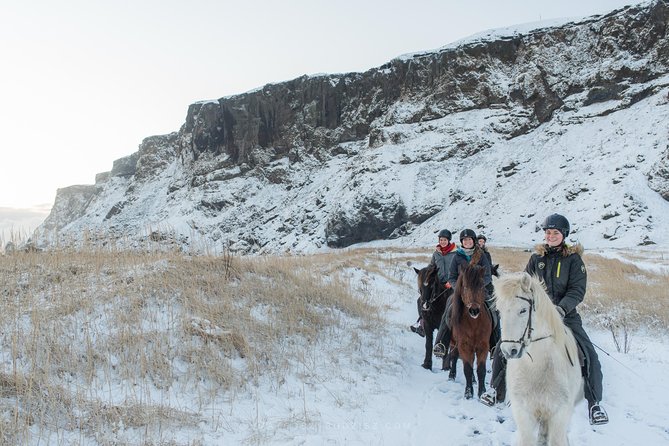 Black Sand Beach Horse Riding Tour from Vik - Who should book this ride?