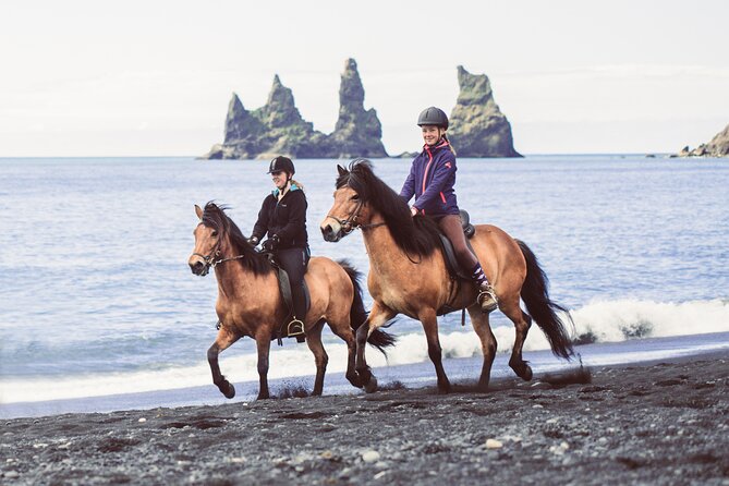 Black Sand Beach Horse Riding Tour from Vik - Practical details that affect your day
