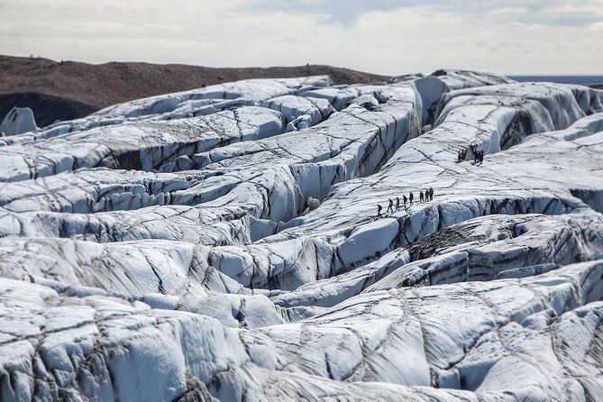Blue Ice Discovery – Guided Glacier Hike from Skaftafell - What the guide adds to the experience
