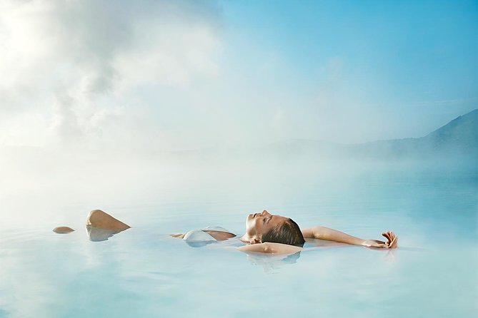 Blue Lagoon and Northern Lights Tour Including Admission - Is $228.87 a fair price?