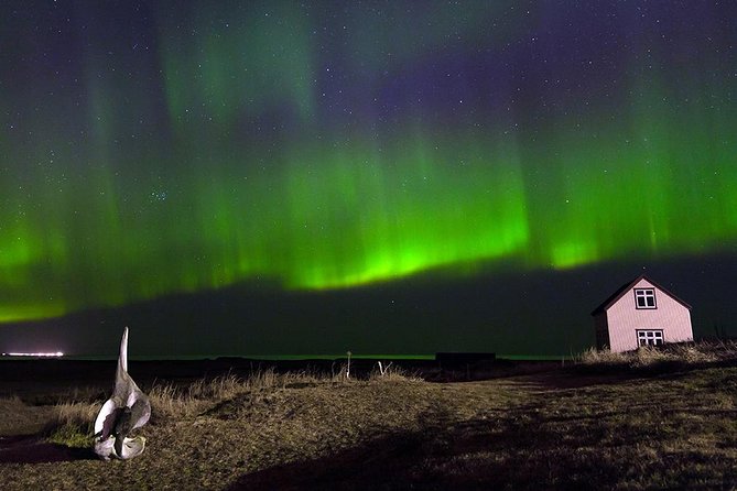 Blue Lagoon and Northern Lights Tour Including Admission - How to make the day work better
