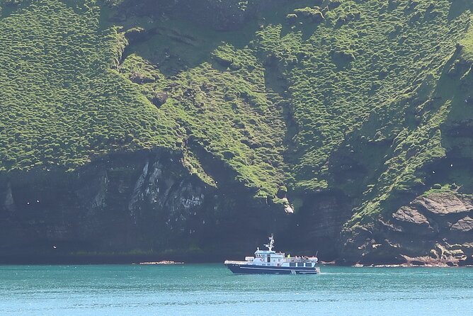 Boat Tour in Vestmannaeyjar - New lava and the story of the 1973 eruption