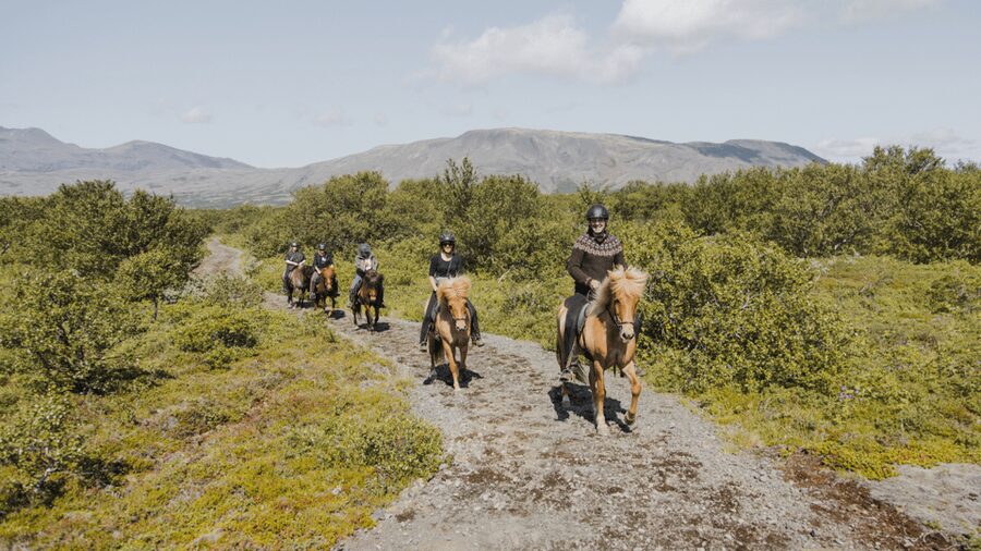 Borgarnes: Horseback Riding Tour with Prep Lesson - Riding out through western Iceland